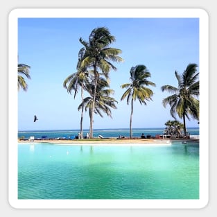 Palm trees and ocean breeze Sticker